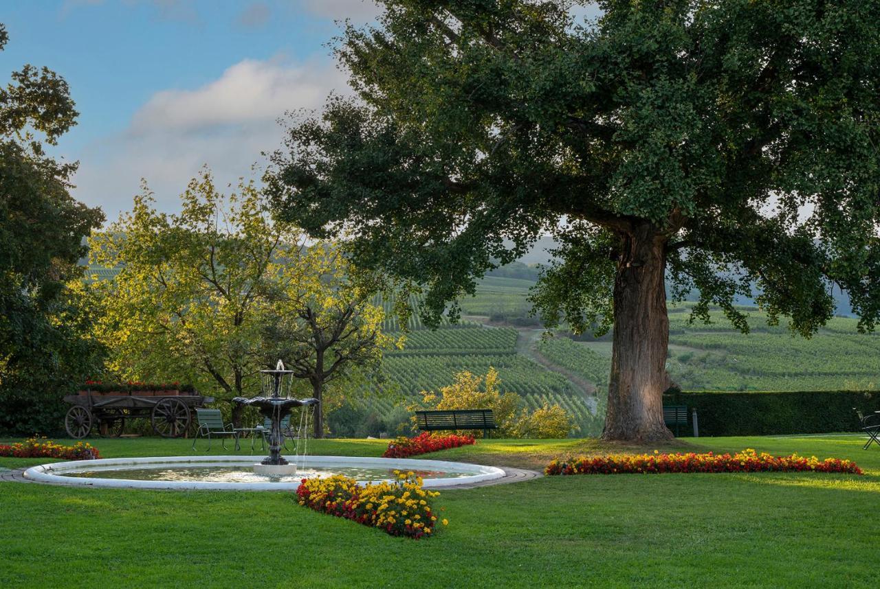 Chateau D'Isenbourg & Spa Rouffach Eksteriør bilde