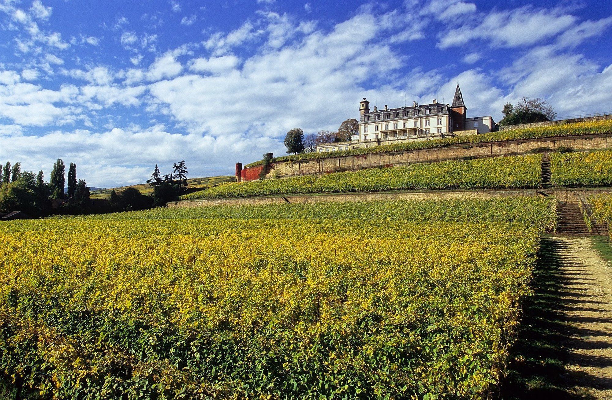 Chateau D'Isenbourg & Spa Rouffach Eksteriør bilde